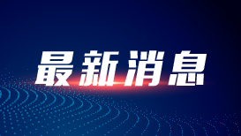 林诗栋蒯曼冠军
