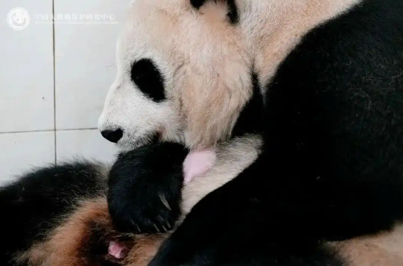上海爷叔现身被大量股民围观