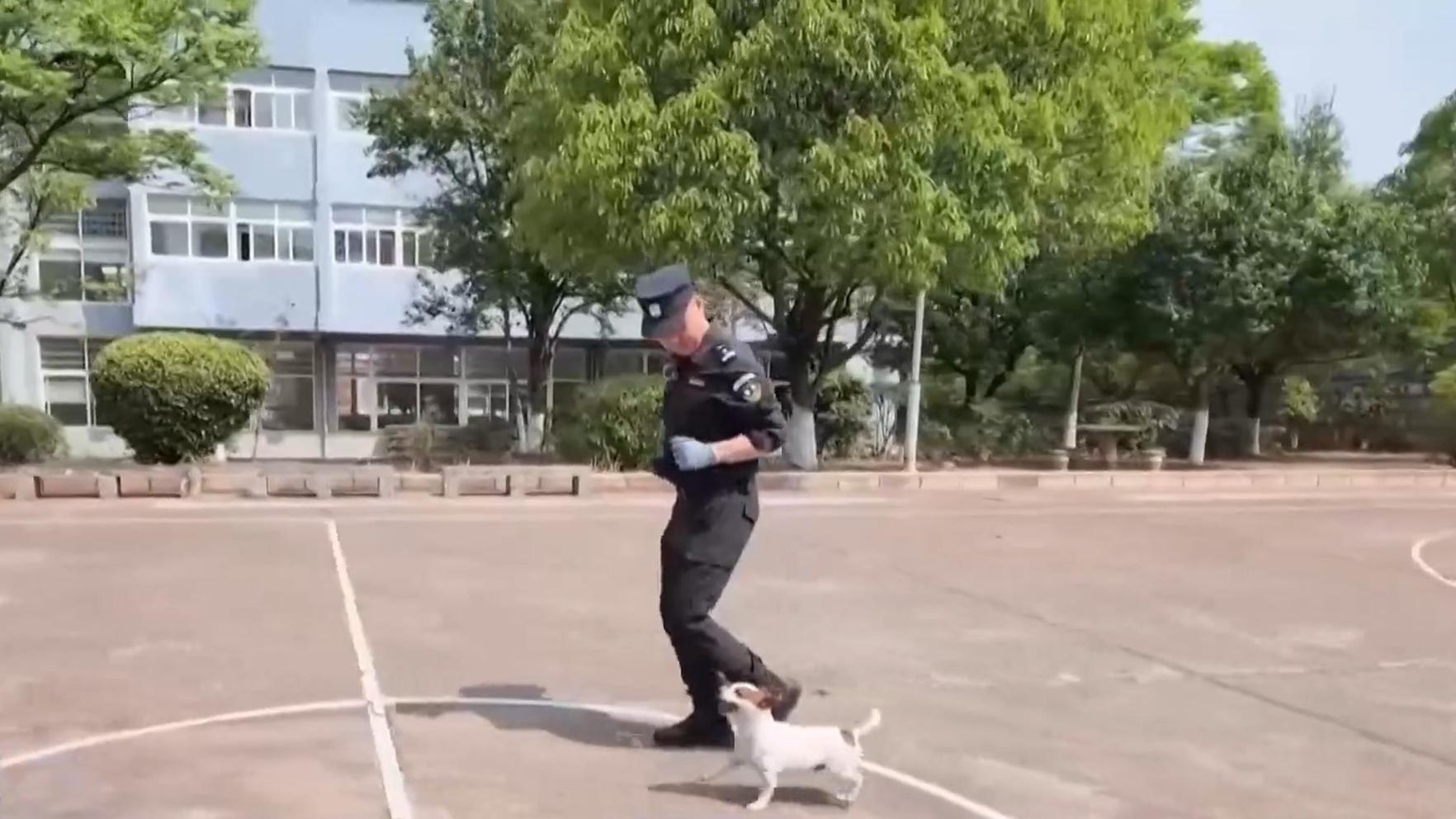 为悼念吴邦国同志天安门下半旗