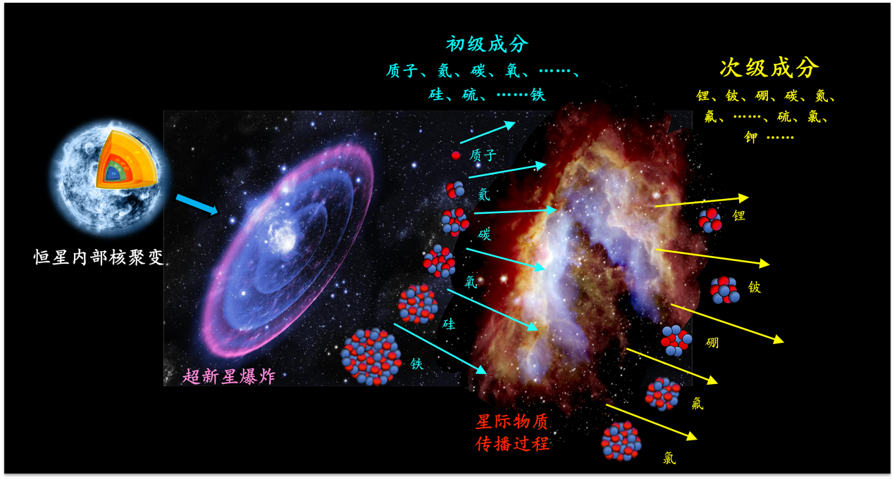 林诗栋比张本智和
