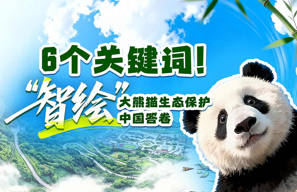 美国一网络恶意武器被中国曝光