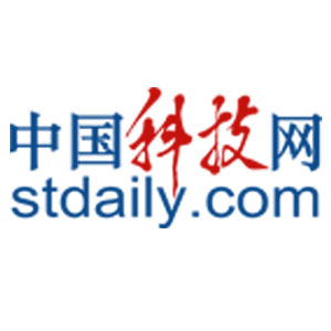 文章模仿向佐动作