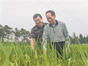 外交部：中方始终愿在平等友好基础上推动同印度各领域合作