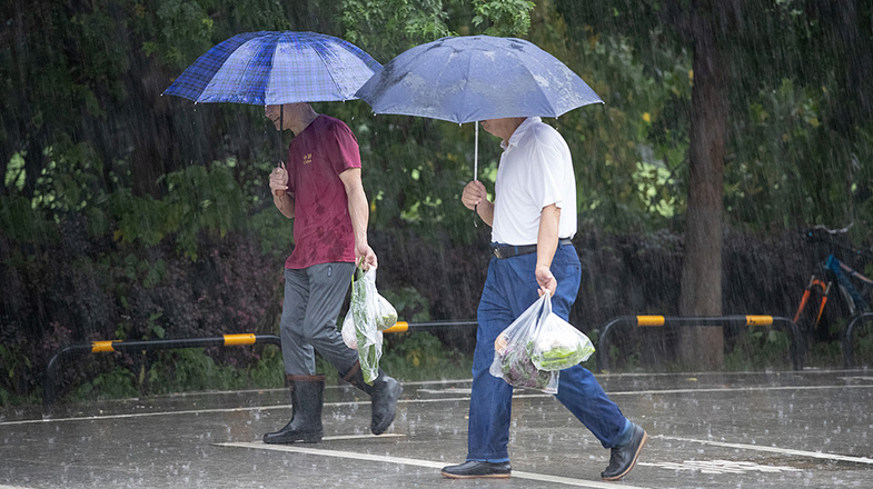 林诗栋蒯曼冠军