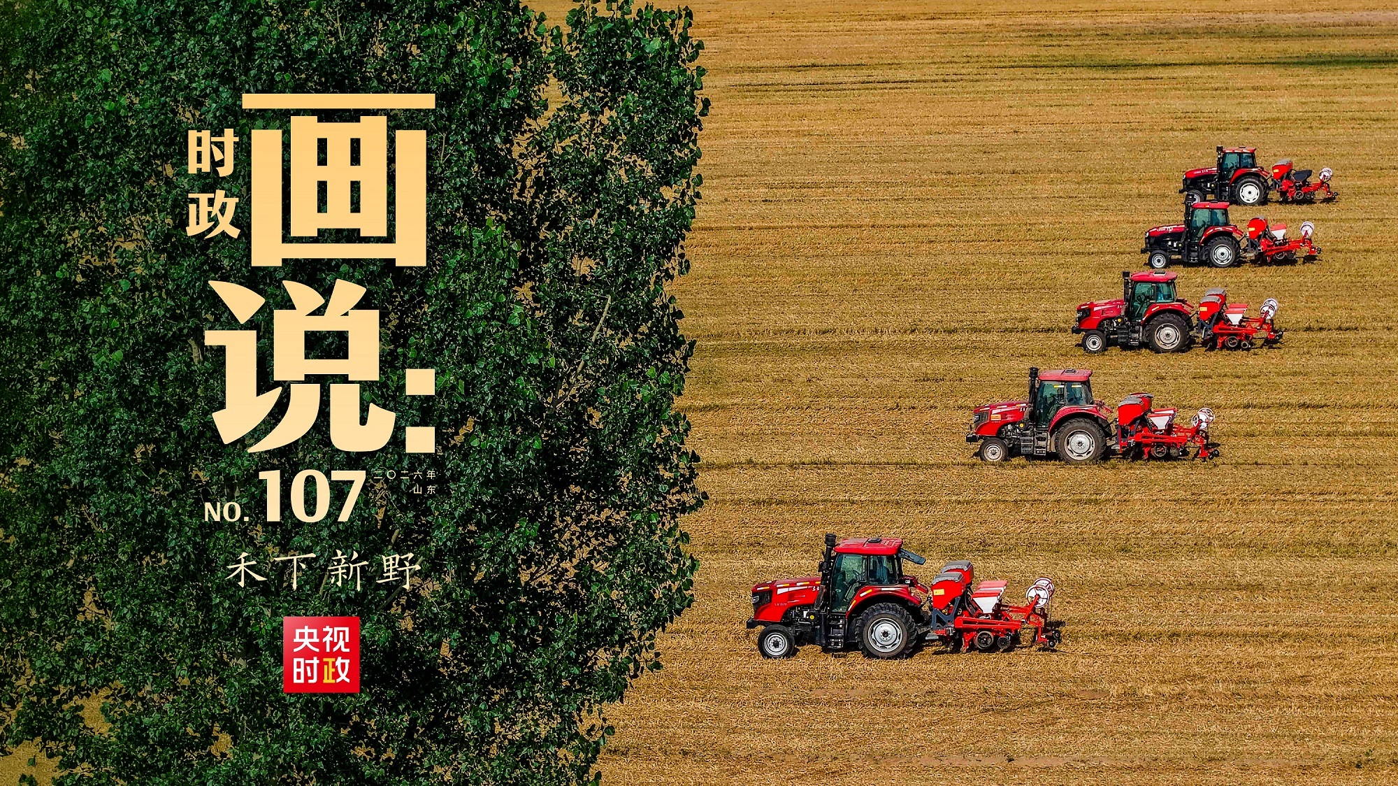 闪婚老伴宠上天